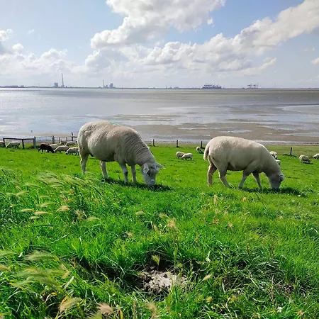 Nordapart Offizier Lejlighed *