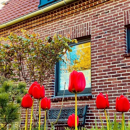 Lejlighed Nordapart Offizier *