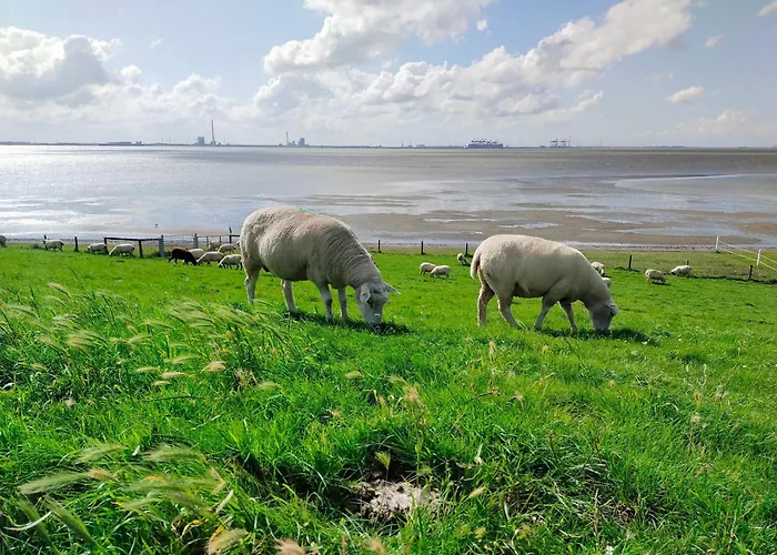 Nordapart Offizier Apartman *